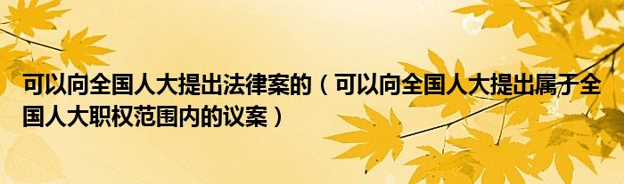 可以向全国人大提出法律案的（可以向全国人大提出属于全国人大职权范围内的议案）