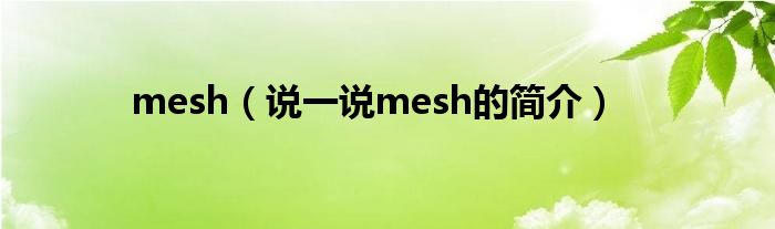 mesh（说一说mesh的简介）