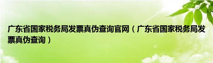 广东省国家税务局发票真伪查询官网（广东省国家税务局发票真伪查询）