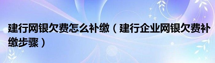 建行网银欠费怎么补缴（建行企业网银欠费补缴步骤）