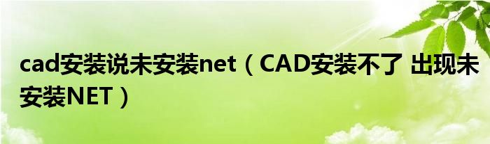 cad安装说未安装net（CAD安装不了 出现未安装NET）