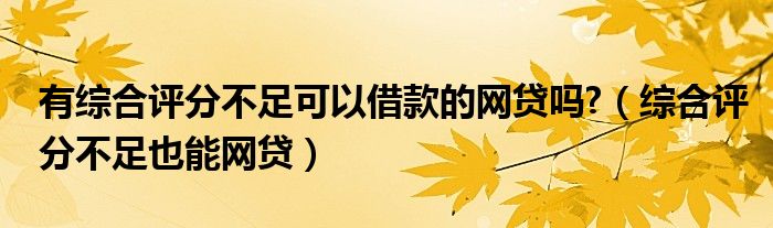 有综合评分不足可以借款的网贷吗?（综合评分不足也能网贷）