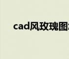 cad风玫瑰图怎么画（风玫瑰图怎么画）