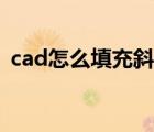 cad怎么填充斜线网格（cad怎么填充斜线）