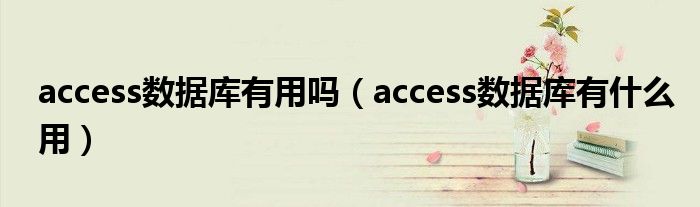 access数据库有用吗（access数据库有什么用）