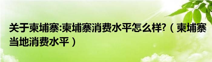 关于柬埔寨:柬埔寨消费水平怎么样?（柬埔寨当地消费水平）