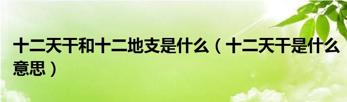 十二天干和十二地支是什么（十二天干是什么意思）