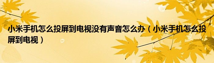 小米手机怎么投屏到电视没有声音怎么办（小米手机怎么投屏到电视）