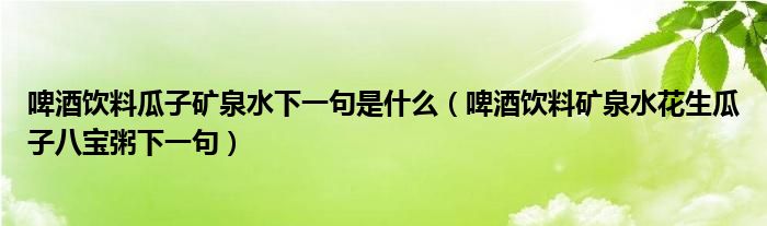 啤酒饮料瓜子矿泉水下一句是什么（啤酒饮料矿泉水花生瓜子八宝粥下一句）