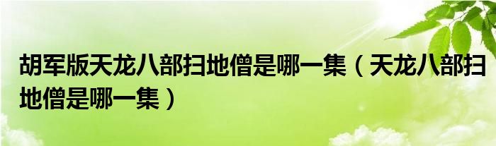 胡军版天龙八部扫地僧是哪一集（天龙八部扫地僧是哪一集）