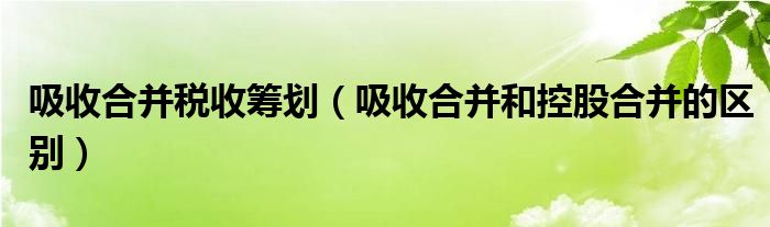 吸收合并税收筹划（吸收合并和控股合并的区别）