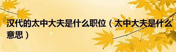 汉代的太中大夫是什么职位（太中大夫是什么意思）