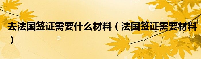 去法国签证需要什么材料（法国签证需要材料）