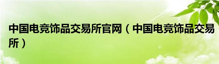 中国电竞饰品交易所官网（中国电竞饰品交易所）