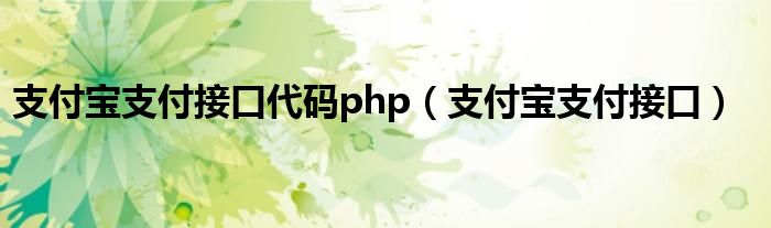 支付宝支付接口代码php（支付宝支付接口）