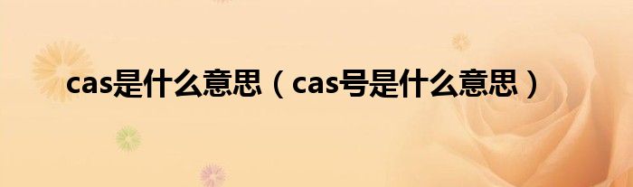 cas是什么意思（cas号是什么意思）