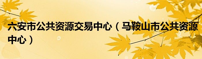 六安市公共资源交易中心（马鞍山市公共资源中心）