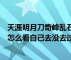 天涯明月刀奇峰乱石头成就（天涯明月刀隐藏成就奇峰乱石怎么看自己去没去过）