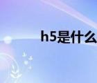 h5是什么软件（h5是什么东西）