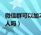 微信群可以加2000人吗（微信群可以加1000人吗）