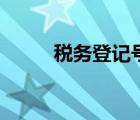 税务登记号是什么（税务登记号）