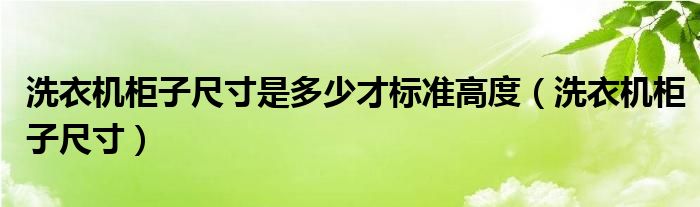 洗衣机柜子尺寸是多少才标准高度（洗衣机柜子尺寸）