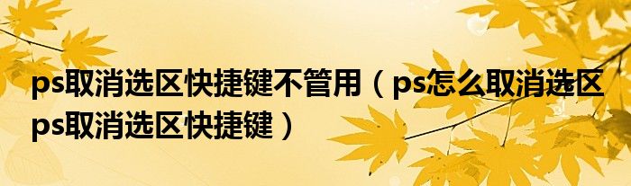 ps取消选区快捷键不管用（ps怎么取消选区 ps取消选区快捷键）