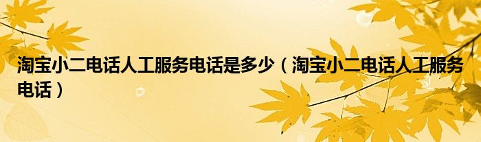 淘宝小二电话人工服务电话是多少（淘宝小二电话人工服务电话）