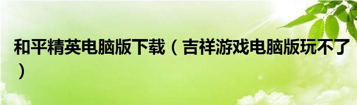 和平精英电脑版下载（吉祥游戏电脑版玩不了）