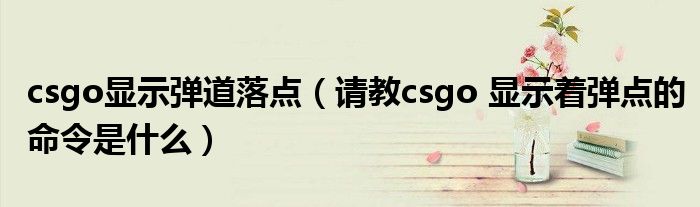 csgo显示弹道落点（请教csgo 显示着弹点的命令是什么）