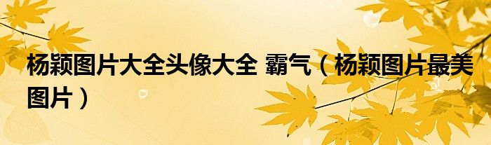 杨颖图片大全头像大全 霸气（杨颖图片最美图片）