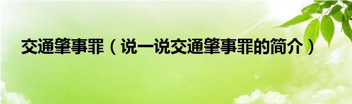 交通肇事罪（说一说交通肇事罪的简介）