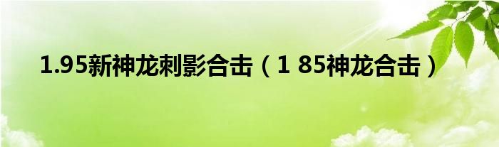 1.95新神龙刺影合击（1 85神龙合击）