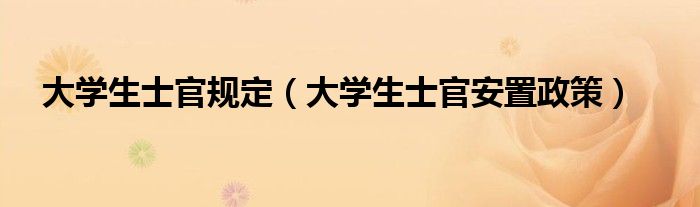 大学生士官规定（大学生士官安置政策）