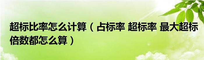 超标比率怎么计算（占标率 超标率 最大超标倍数都怎么算）