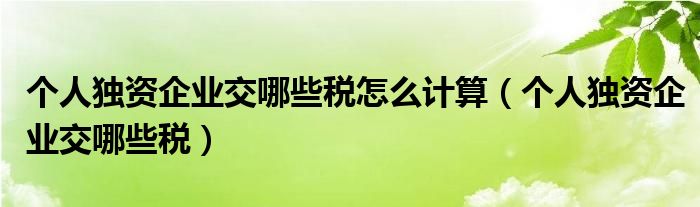 个人独资企业交哪些税怎么计算（个人独资企业交哪些税）