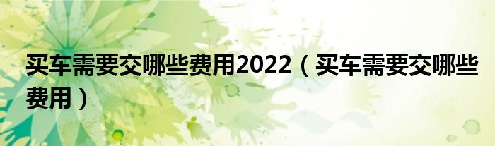 买车需要交哪些费用2022（买车需要交哪些费用）