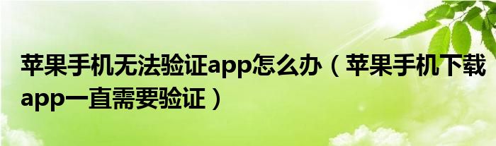 苹果手机无法验证app怎么办（苹果手机下载app一直需要验证）