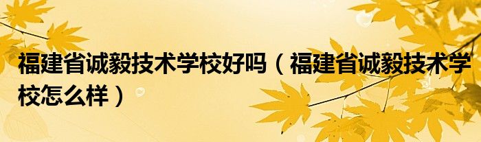 福建省诚毅技术学校好吗（福建省诚毅技术学校怎么样）