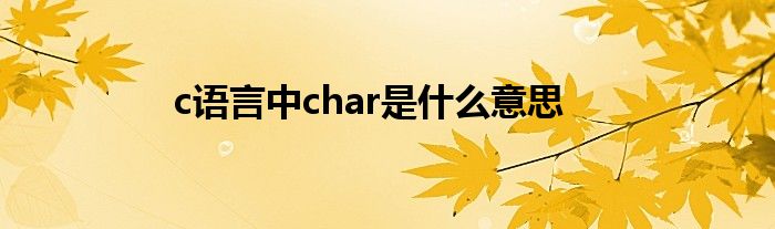 c语言中char是什么意思