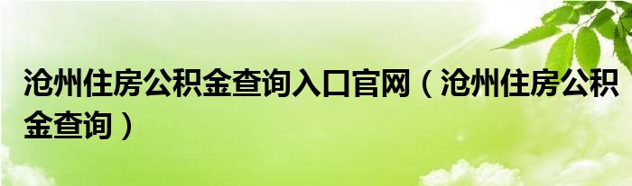 沧州住房公积金查询入口官网（沧州住房公积金查询）