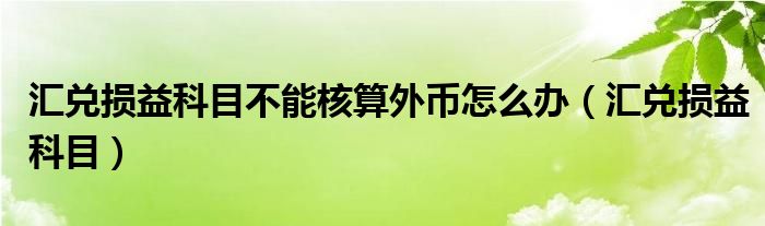 汇兑损益科目不能核算外币怎么办（汇兑损益科目）