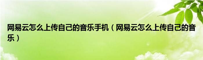 网易云怎么上传自己的音乐手机（网易云怎么上传自己的音乐）