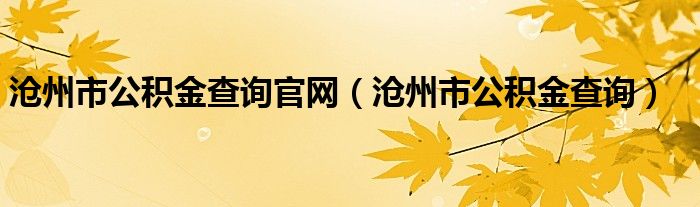 沧州市公积金查询官网（沧州市公积金查询）