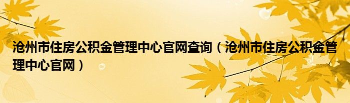 沧州市住房公积金管理中心官网查询（沧州市住房公积金管理中心官网）