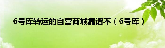 6号库转运的自营商城靠谱不（6号库）