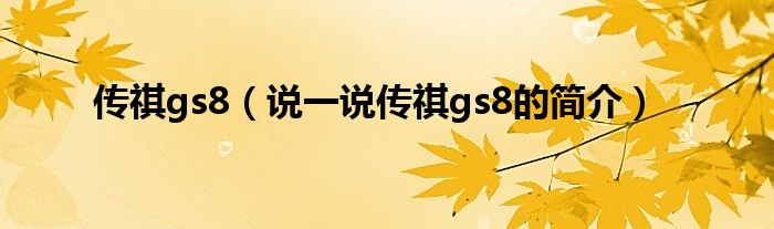 传祺gs8（说一说传祺gs8的简介）