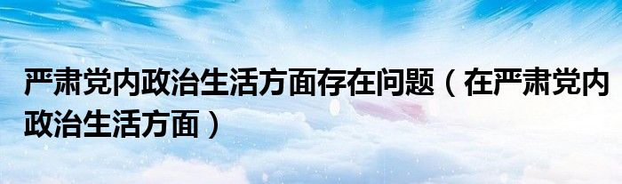 严肃党内政治生活方面存在问题（在严肃党内政治生活方面）