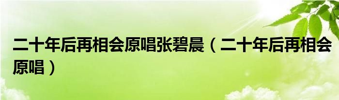 二十年后再相会原唱张碧晨（二十年后再相会原唱）