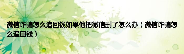 微信诈骗怎么追回钱如果他把微信删了怎么办（微信诈骗怎么追回钱）